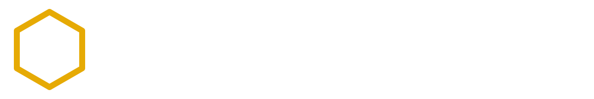 Gonzalo Llamosas